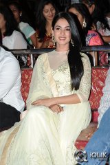 Sonal Chauhan at Legend Movie Success Meet